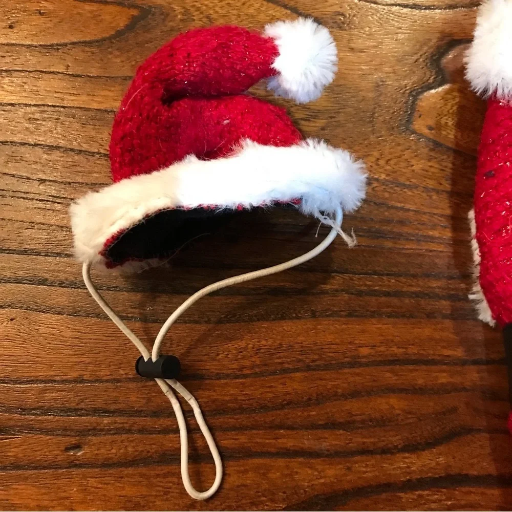 First Class Fido 🐾santa pet